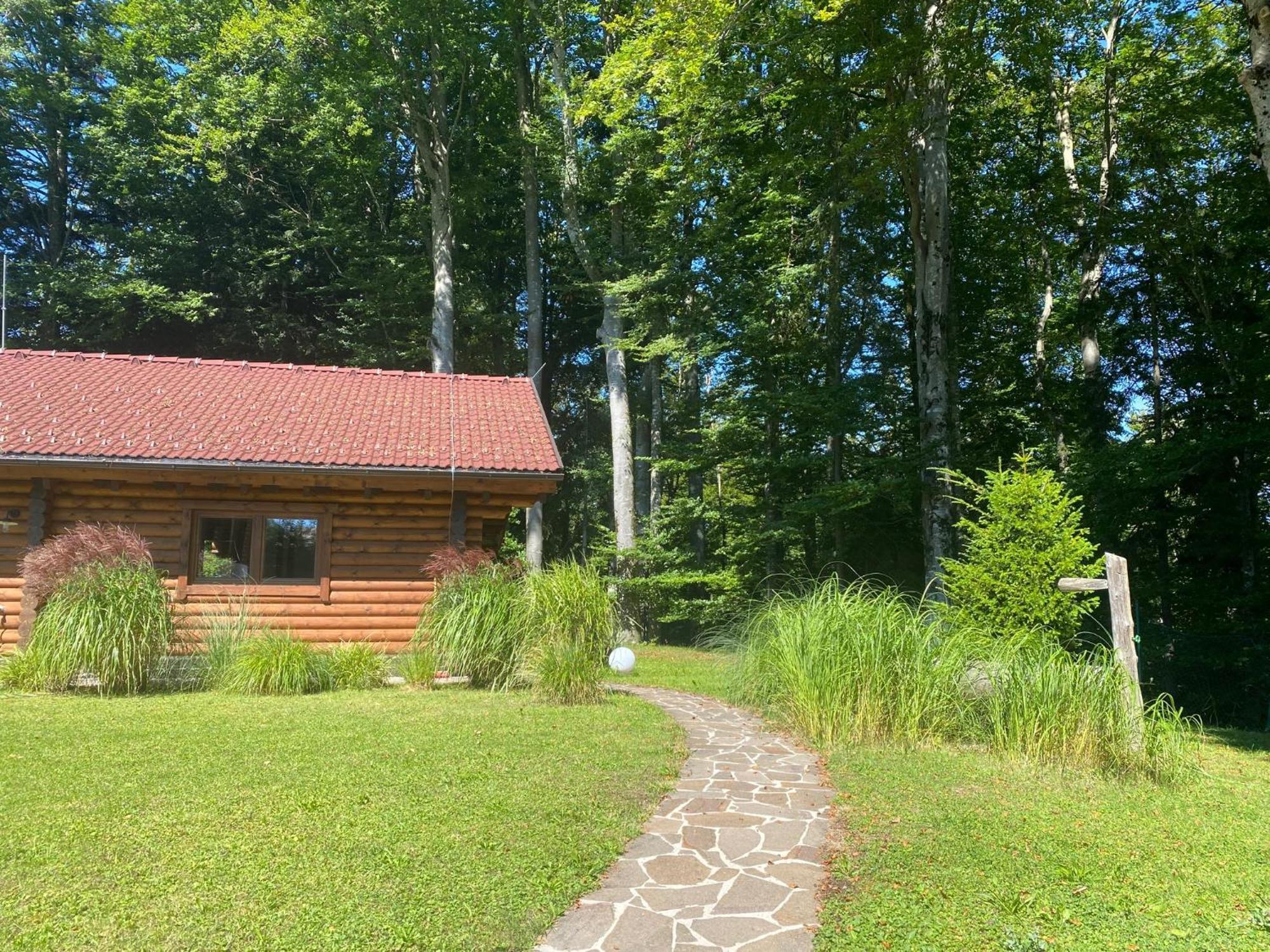Villa Huette Am Wald Hof bei Salzburg Exterior foto